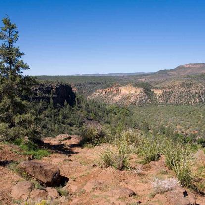 Chinle (Canyon de Chelly)