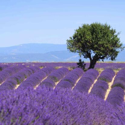 Fontaine-de-Vaucluse
