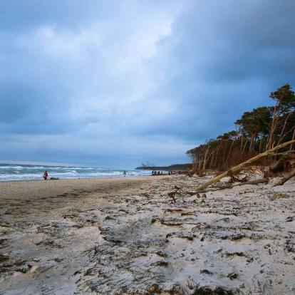 Kalifornien (Schönberg)