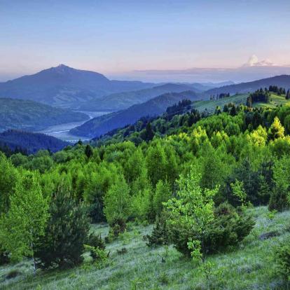 Târgu Mures (Neumarkt)