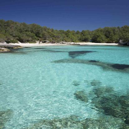 Playa Bosc (Playa n´ Bosch)